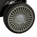 11.webp
