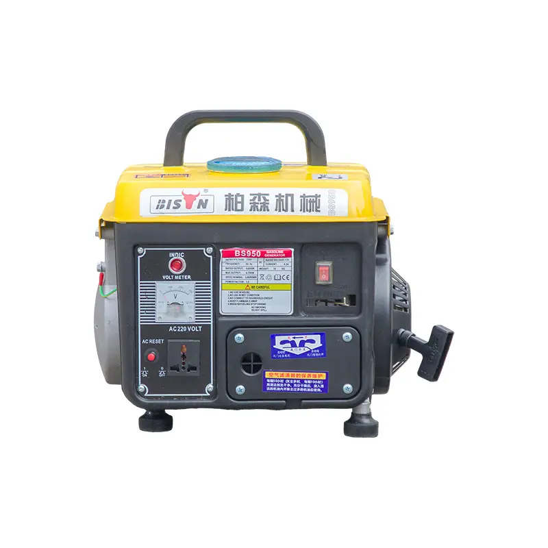 BS950 Gasoline Generator