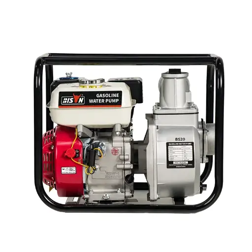BS20 Gasoline Water Pump