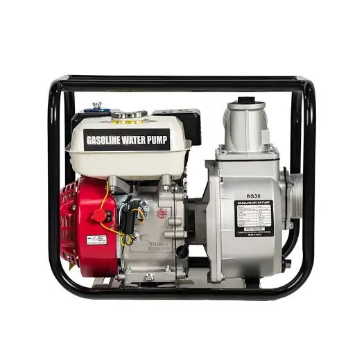 BS30 Gasoline Water Pump